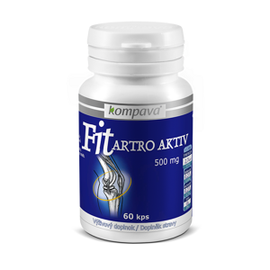 Fit Artro Aktiv 500 mg/60 kps